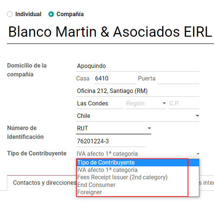 Chilean taxpayer types for partners.